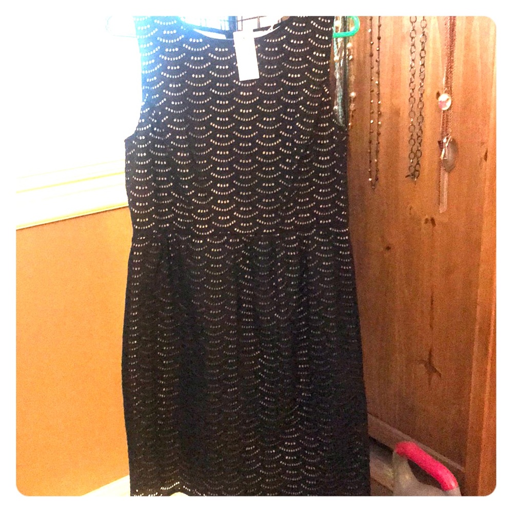 Loft dress/fully lined